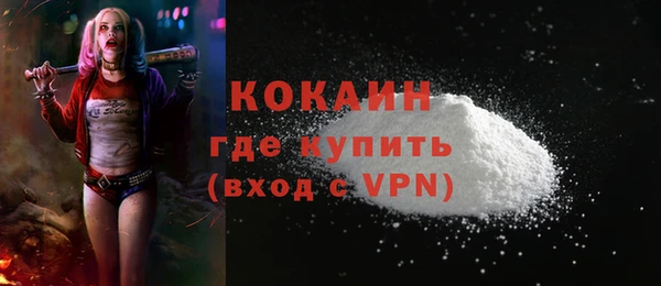 ешки Новозыбков