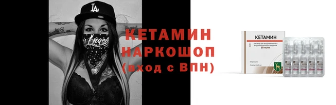 гидра Абаза