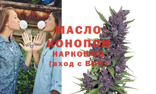 гидра Абаза