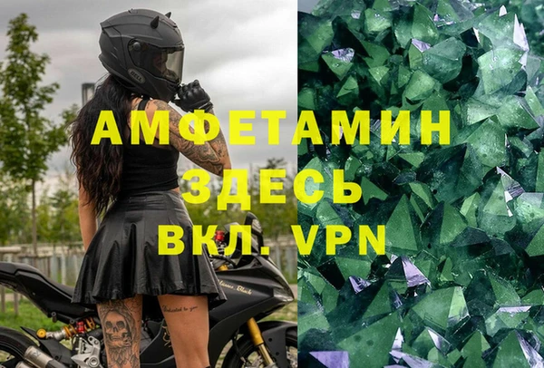 гидра Абаза