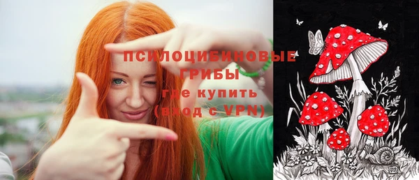 ешки Новозыбков