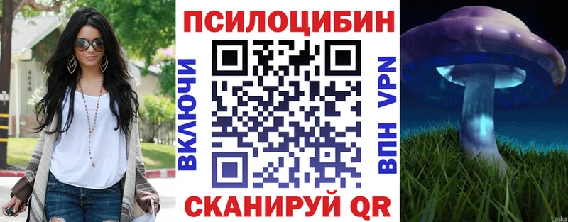 Псилоцибиновые грибы мицелий Шилка